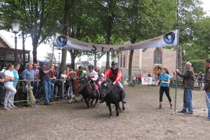 Racingteam fokpaardendag St. Anthonis 2018