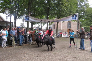 Racingteam fokpaardendag St. Anthonis 2018