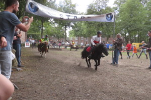 Racingteam fokpaardendag St. Anthonis 2018