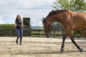 Clinic longeren - de basis