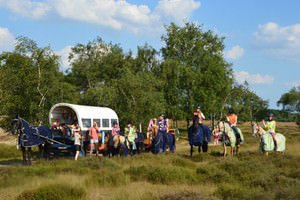 Ponykamp, aangepast paardenkamp, trainingsdagen